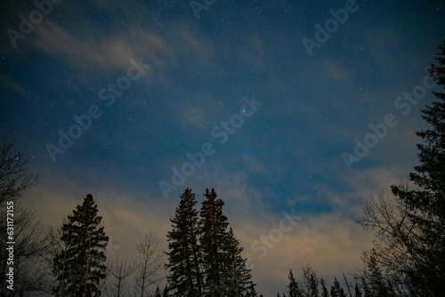 night time view of the snow covered pines and the stars