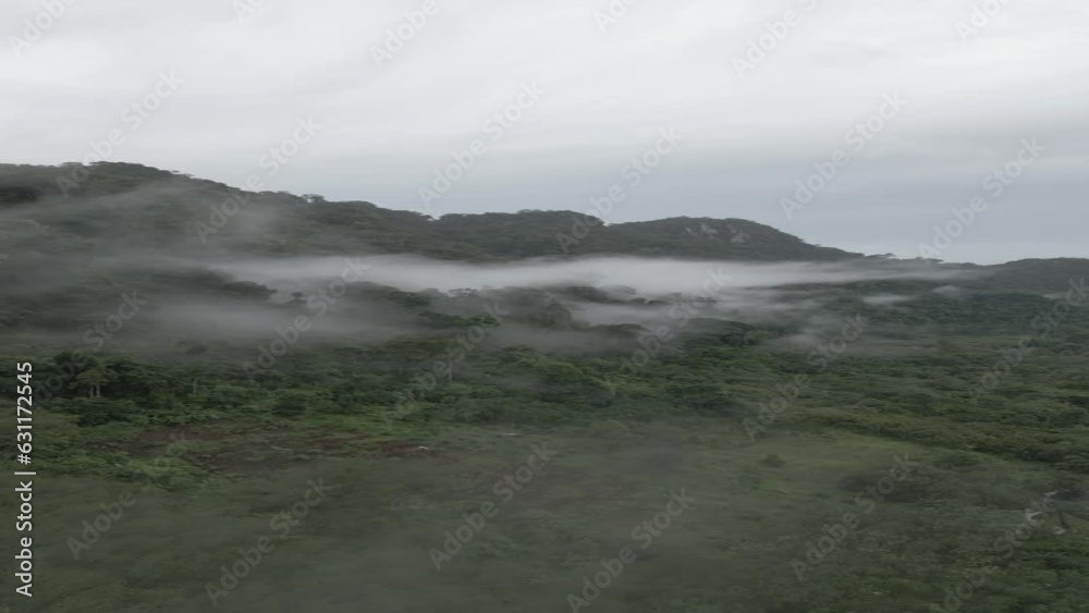 It is a bird's-eye view of a vast forest as far as the eye can see. It is a bird's-eye view of a vast forest as far as the eye can see.