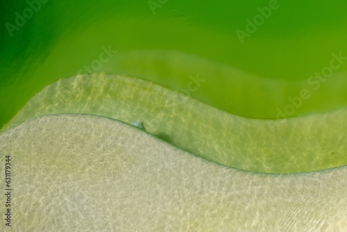 Algen und trübes Wasser im Pool.