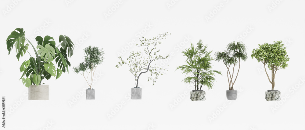 Fototapeta premium collection of tree for decorative isolated on white background 