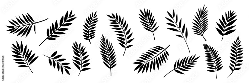 Flat Vector Tropical Palm Leaves Icon Set Isolated. Tropical Exotic Foliage, Sprig with Leaves, Tree Twig Collection. Decorative Tropical Leaf Design Element Making Brushes, Patterns, Frames etc. Flat Vector Tropical Palm Leaves Icon Set Isolated. Tropical Exotic Foliage, Sprig with Leaves, Tree Twig Collection. Decorative Tropical Leaf Design Element Making Brushes, Patterns, Frames etc.