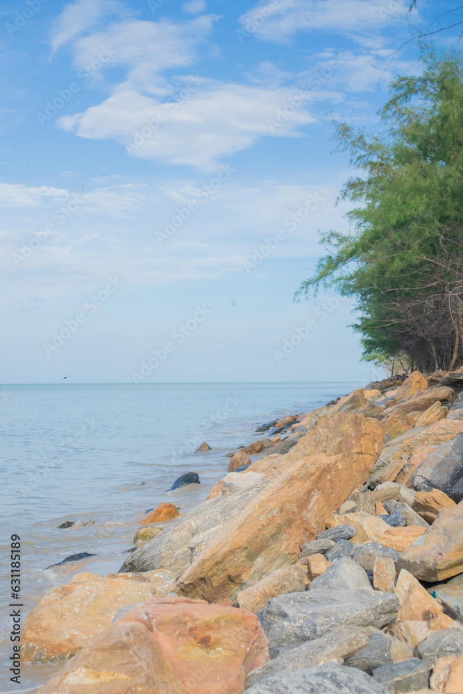 sea and rocks