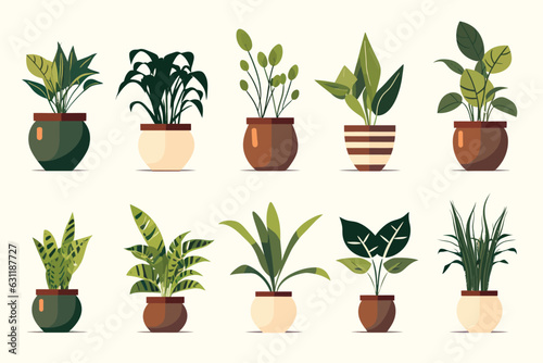 houseplant pot set vector flat isolated illustration © Zaharia Levy