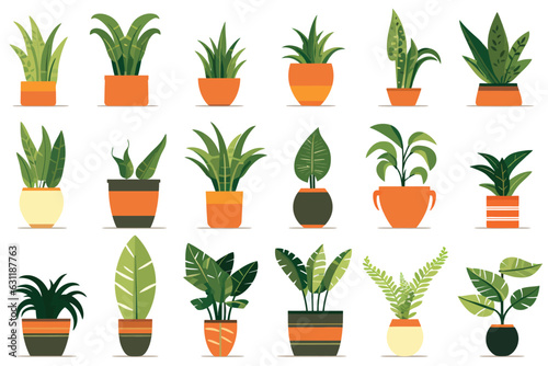 houseplant pot set vector flat minimalistic isolated illustration