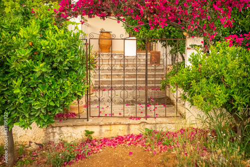 steps in the garden photo