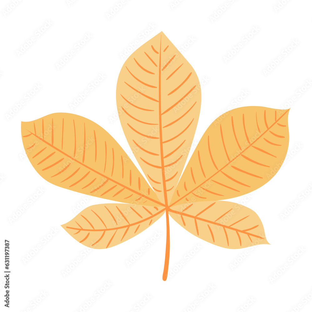 Fototapeta premium Chestnut tree leaf in autumn hand drawn illustration. Cartoon style flat design, isolated vector. Kids autumn, fall print, seasonal plant element, woodland, park, outdoors, nature