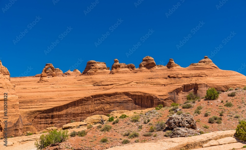 Shot of Arches National Park, highlighted by the rocky terrain and greenery
