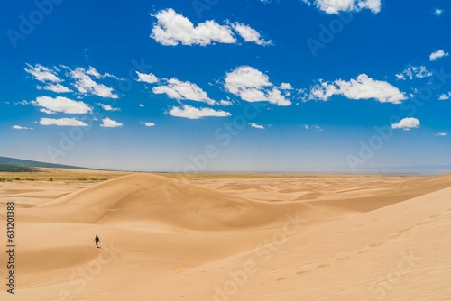 Fototapeta Naklejka Na Ścianę i Meble -  Man walking alone in a bright sandy desert landscape during the day
