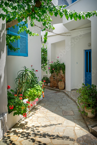 Fototapeta Naklejka Na Ścianę i Meble -  street in the village