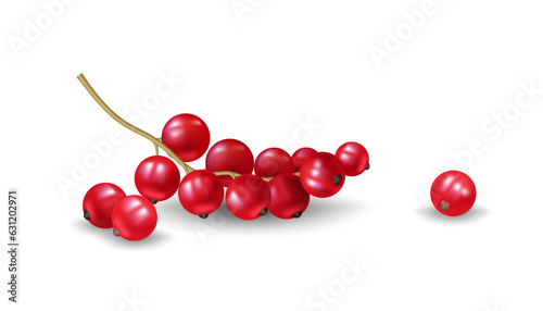 Φωτογραφία Realistic vector illustration of fresh redcurrants