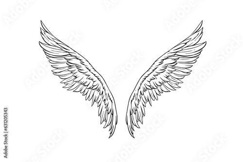Angel wings ink sketch in engraving style. Hand drawn fenders vector illustration.