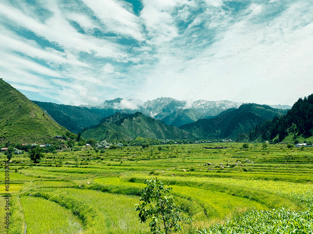 Mesmerizing Landscape with green fields and mountains in the backdrop along with cloudy sky