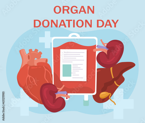 Organ donation day concept. Heart, kidney and liver. Health and treatment, first aid. International holiday and festival. Generosity, kindness and charity. Cartoon flat vector illustration