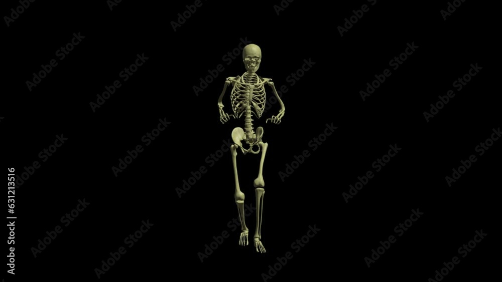 Dancing human skeleton on black background 3d render endless seamless loop computer animation
Dancing human skeleton on black background 3d render endless seamless loop computer animation