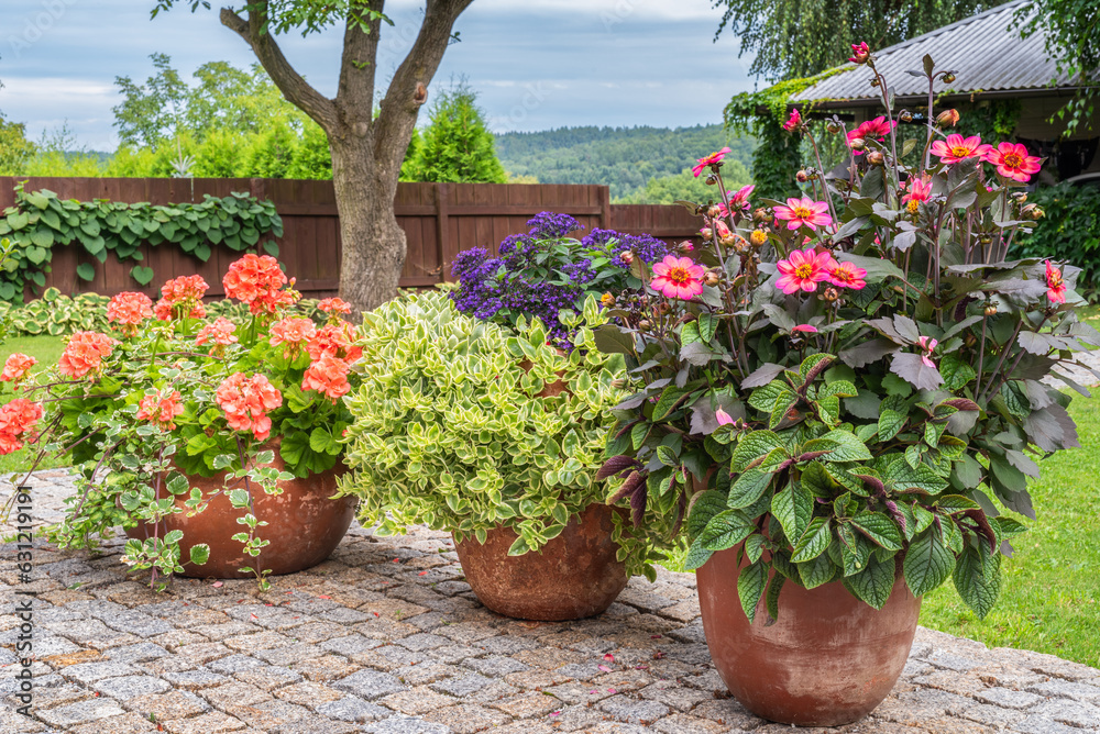 Blooming flowers in flower pots on stone terrace in garden