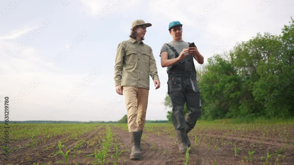 agriculture corn. two farmers walk work in a field with corn. agriculture business farm concept. a group of farmers examining corn sprouts in lifestyle an agricultural field agriculture corn. two farmers walk work in a field with corn. agriculture business farm concept. a group of farmers examining corn sprouts in lifestyle an agricultural field