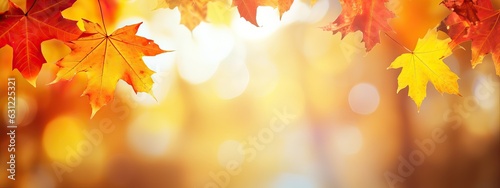 Autumn blurred background with frame of orange, gold and red maple leaves on nature on background of sunlight with soft beautiful bokeh