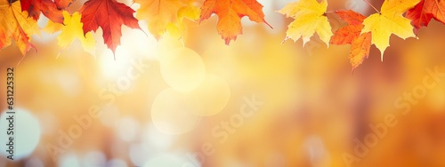 Autumn blurred background with frame of orange, gold and red maple leaves on nature on background of sunlight with soft beautiful bokeh