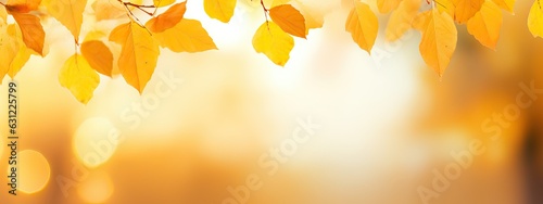Beautiful blurred gentle universal natural light autumn background with yellow leaves and blurred bokeh