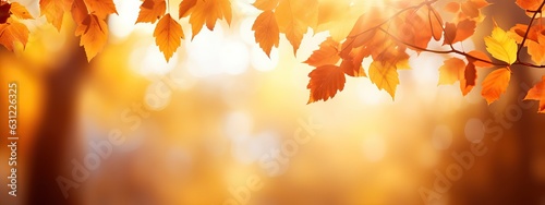 Beautiful orange and golden autumn leaves against a blurry park in sunlight with beautiful bokeh. Natural autumn background. Wide panorama format