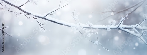 White beaytiful winter Christmas blurres background. Winter atmospheric natural landscape with frost-covered dry branches during snowfall