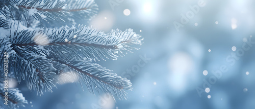 Winter Christmas natural background. Beautiful spruce branches covered with snow caps in the forest