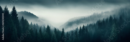Dark fog and mist over a moody forest landscape. Mountain fir trees with dreary dreamy weather. Blues and greens