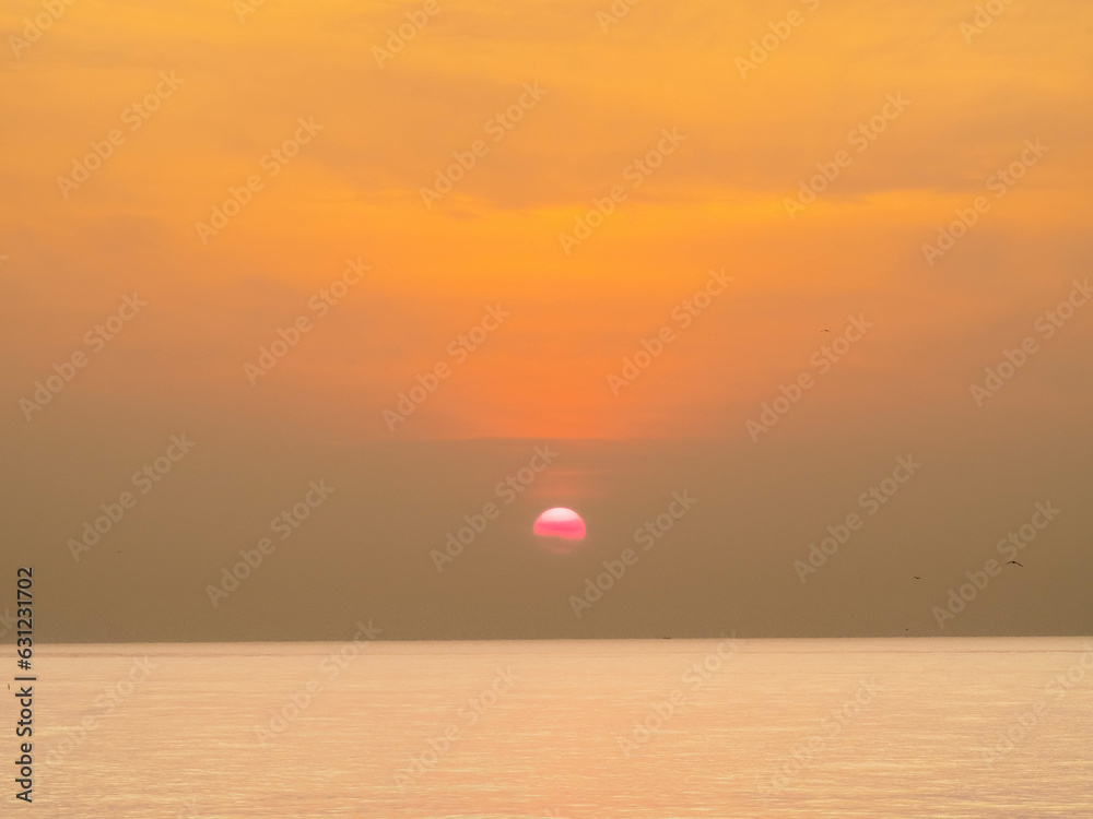 Sun is rising over horizon line with sea view and colorful sky, seagull fly for foreground Sun is rising over horizon line with sea view and colorful sky, seagull fly for foreground
