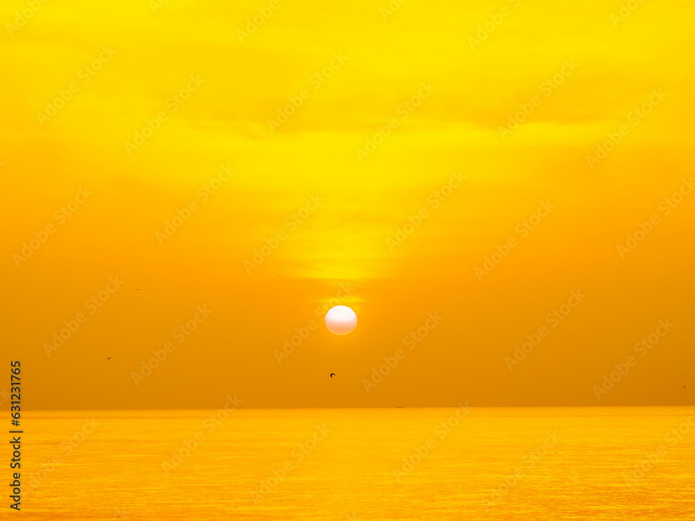 Sun is rising over horizon line with sea view and colorful sky, seagull fly for foreground Sun is rising over horizon line with sea view and colorful sky, seagull fly for foreground