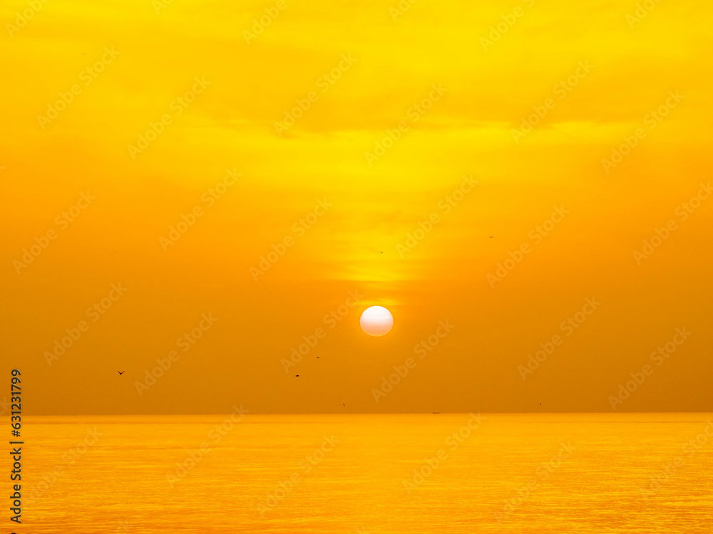 Sun is rising over horizon line with sea view and colorful sky, seagull fly for foreground