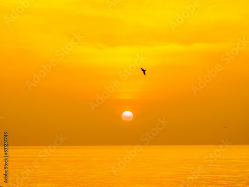 Sun is rising over horizon line with sea view and colorful sky, seagull fly for foreground