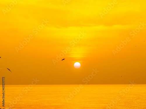 Sun is rising over horizon line with sea view and colorful sky  seagull fly for foreground