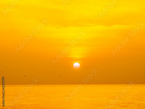 Sun is rising over horizon line with sea view and colorful sky, seagull fly for foreground © jeafish