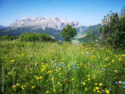Südtirol Panorama. Mit Alta Badia, Seiser Alm, Corvara
