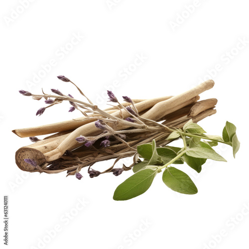 Sage and licorice roots Alone on transparent backround photo