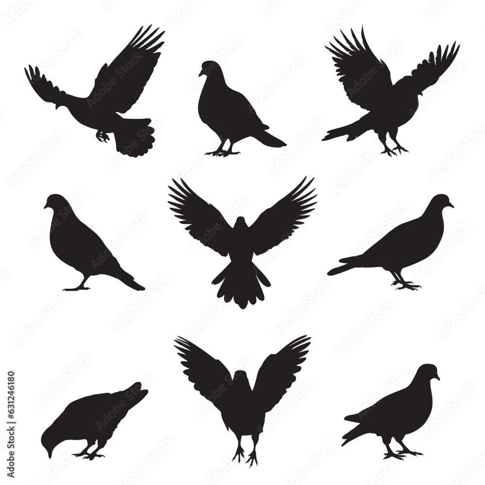 Obraz premium collection of silhouette doves - pigeon collection - vector illustration