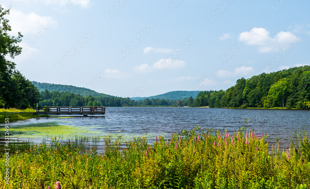 A walking pier jutting into the lake at Chapman State Park on a sunny summer day A walking pier jutting into the lake at Chapman State Park on a sunny summer day