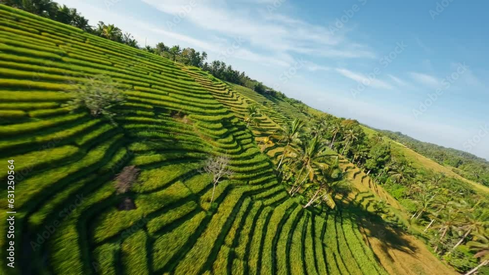 Belimbing Rice terraces with FPV Drone at Bali Island, Indonesia - Fast manual Drone close proximity flight Belimbing Rice terraces with FPV Drone at Bali Island, Indonesia - Fast manual Drone close proximity flight