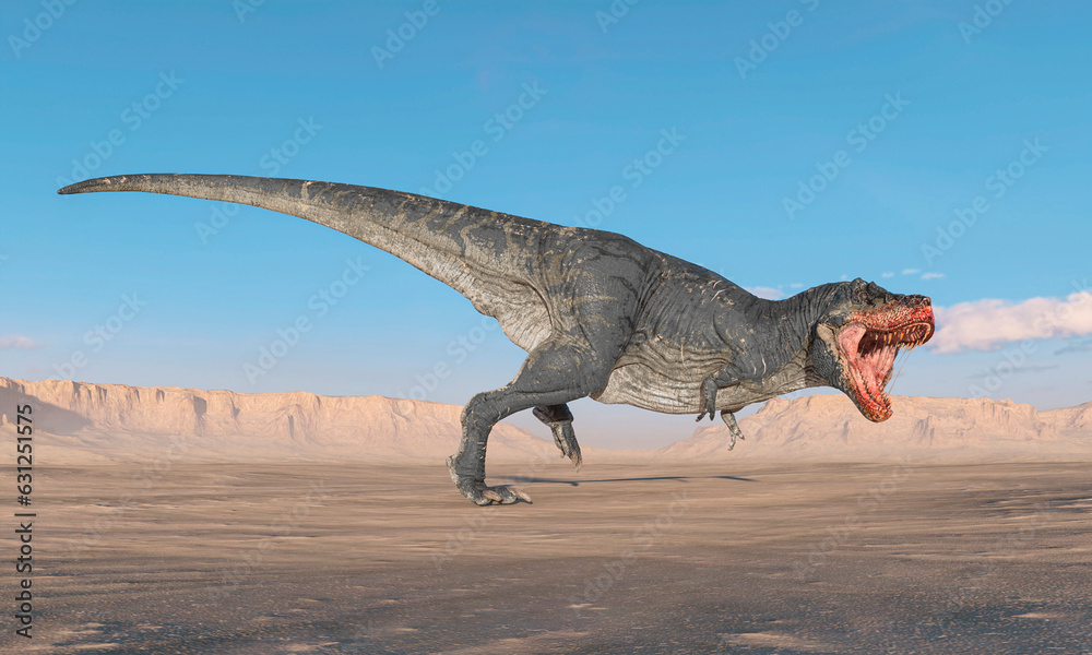tyrannosaurus is running and ready to bite on sunset desert side view