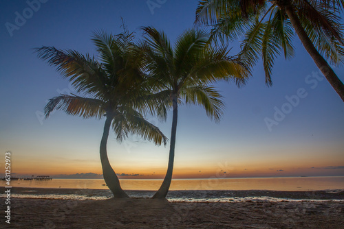 Beautiful pair of palm trees during the sunset hour in Florida Deys