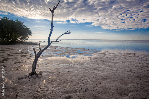 Beautiful landscape of low tide in the early morning off Key West