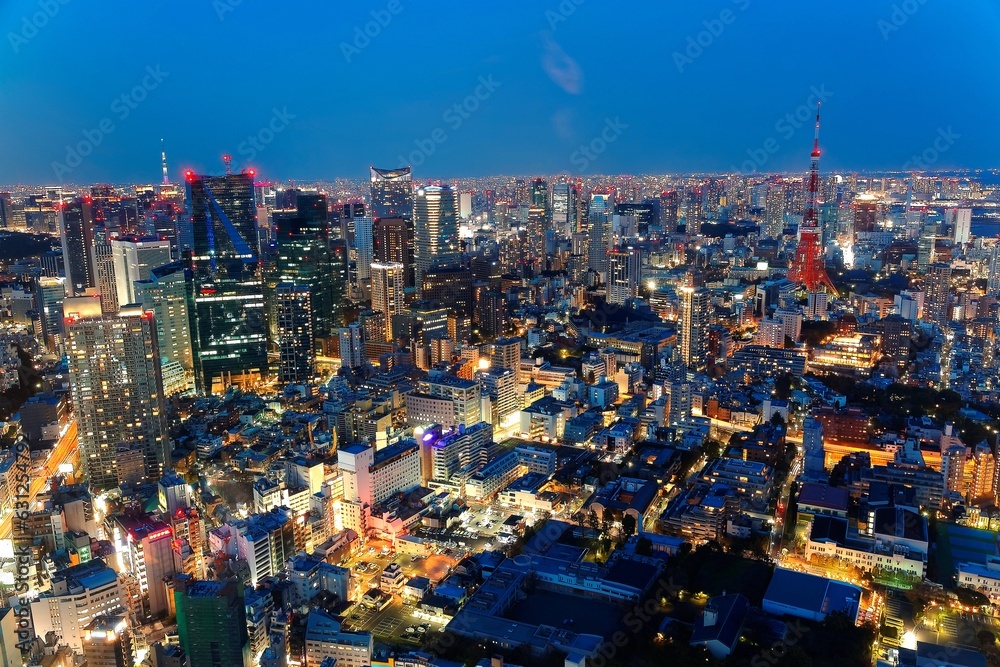 Night scenery of Tokyo, with an aerial panoramic view of illuminated Tokyo Tower among crowded buildings in downtown area under blue twilight ~ Beautiful urban skyline of vibrant Tokyo City, Japan