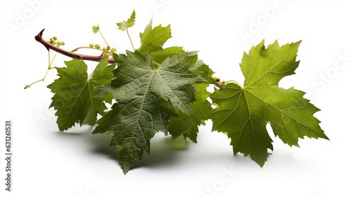 green grape leaves with wine on the white background, generative ai