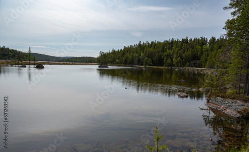 Fototapeta Naklejka Na Ścianę i Meble -  Beautiful view of the lake surrounded by coniferous forest, grass and road