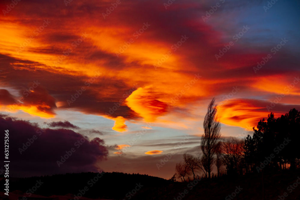 sunset over the field