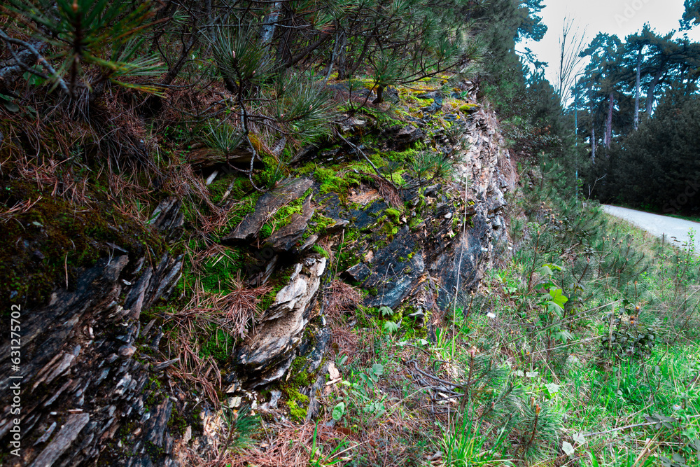cliffs cliffs