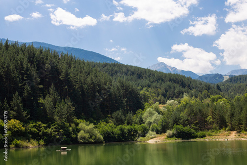 View of the lake among the forest and mountains in Bulgaria on a sunny summer day
