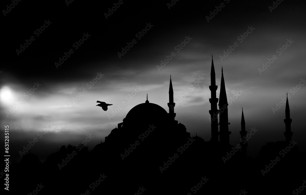 Obraz premium dark landscape with bird flying