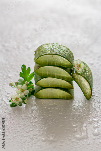 Fresh aloe leaves and hawthorn flower with water drops and transparent juice on white background, natural medicine / cosmetics concept, aloe vera - herbal medicine, skin care, SPA.