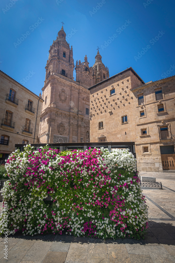 Casa de las Conchas y Universidad Pontificia de Salamanca
